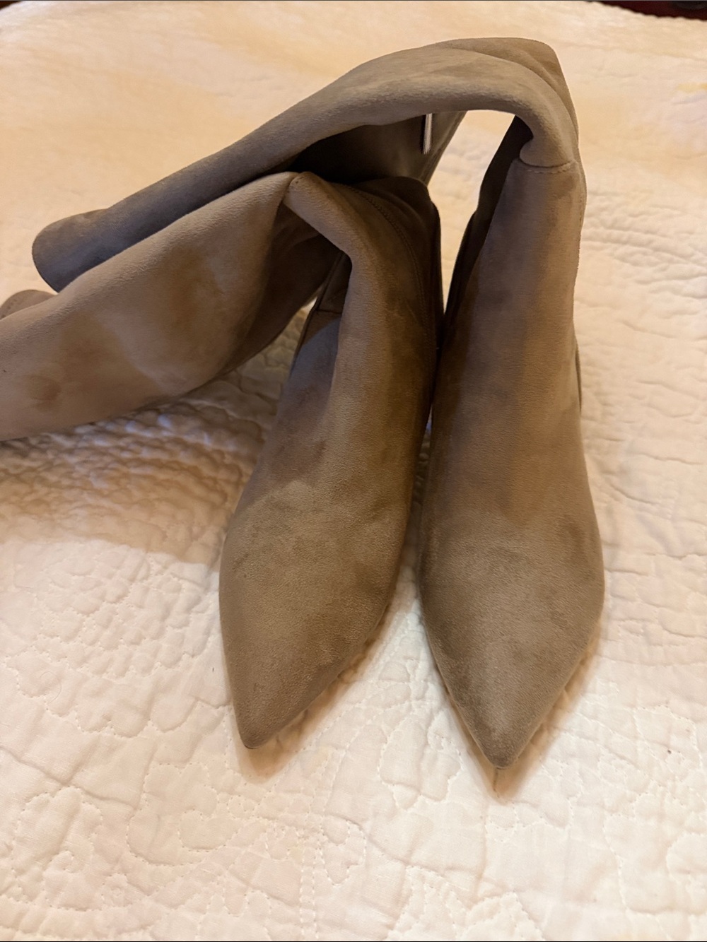 Over-the-Knee Pointed Toe Boots in Taupe